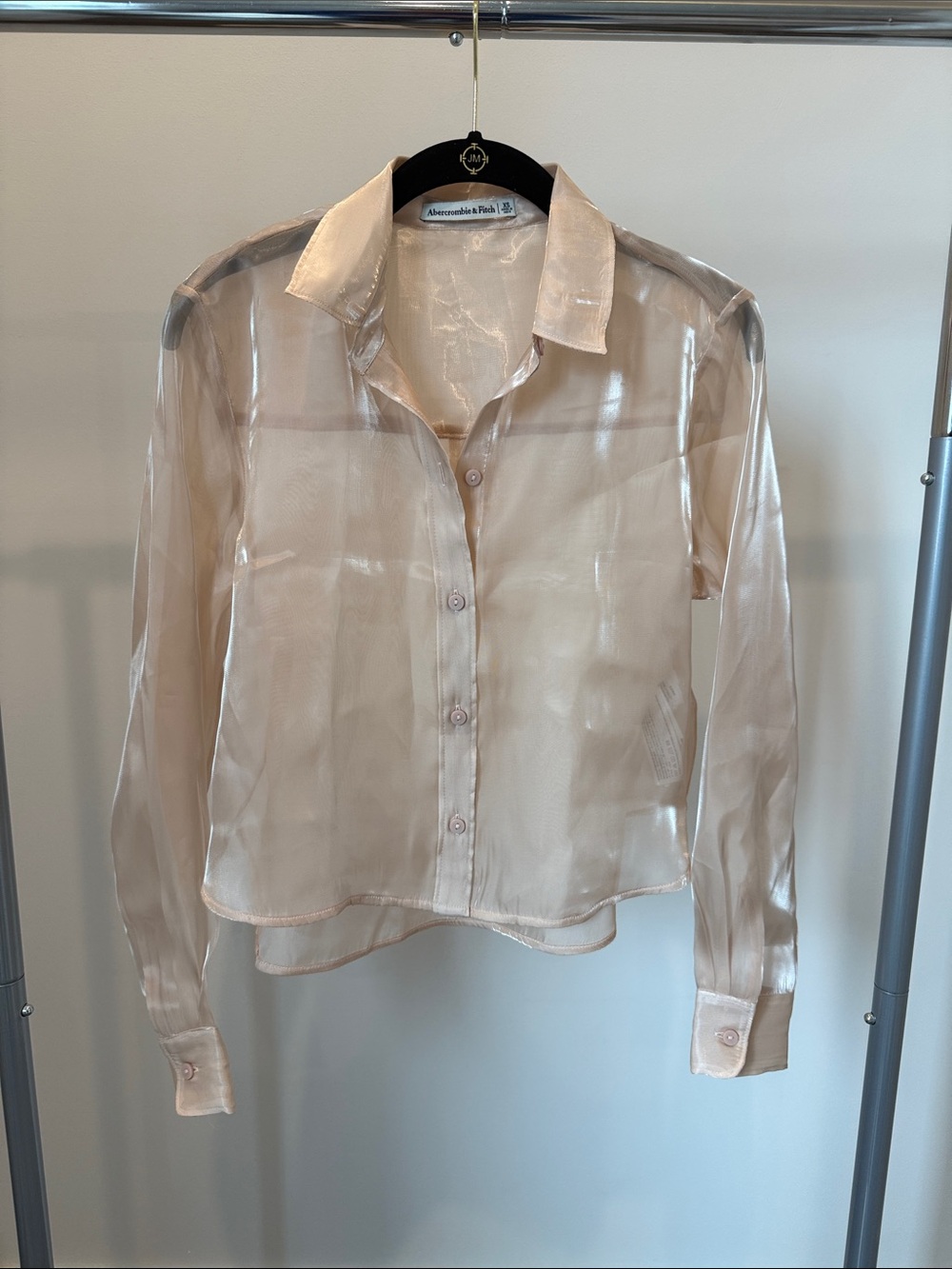 Abercrombie & Fitch Sheer Button-Down Blouse in Nude Blush Size XS